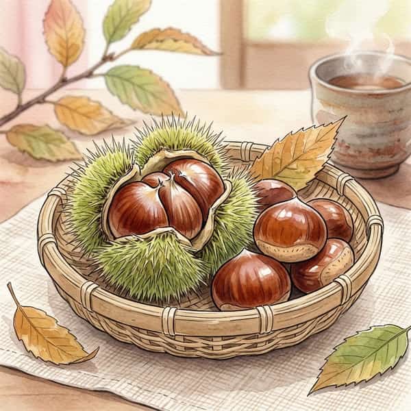 秋分の旬の食材「栗」