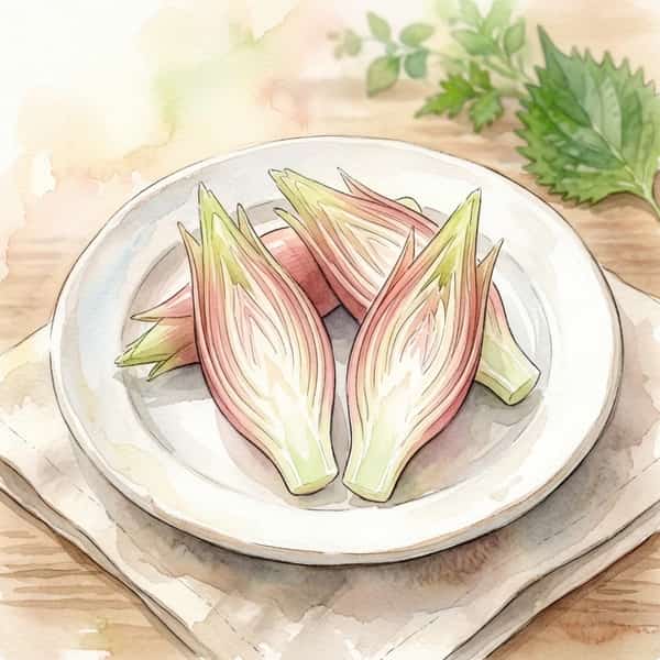 夏至の旬の食材「みょうが」