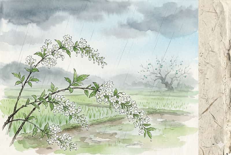 走り梅雨2026 ─ 4月下旬〜5月初旬の「先取り梅雨」、暦と気象から読む初夏の長雨